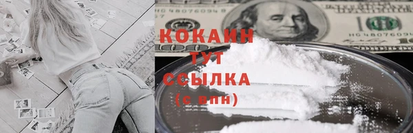 крисы Каменногорск