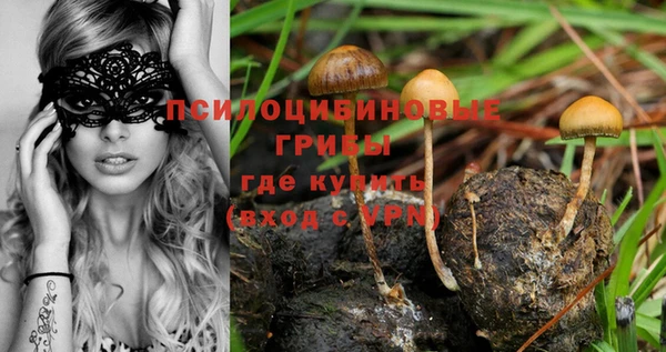 крисы Каменногорск