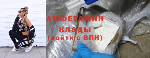 крисы Каменногорск